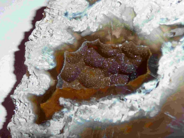 Calcédoine dans du Corail - pierre brute 199 gr - pièce unique – Image 5
