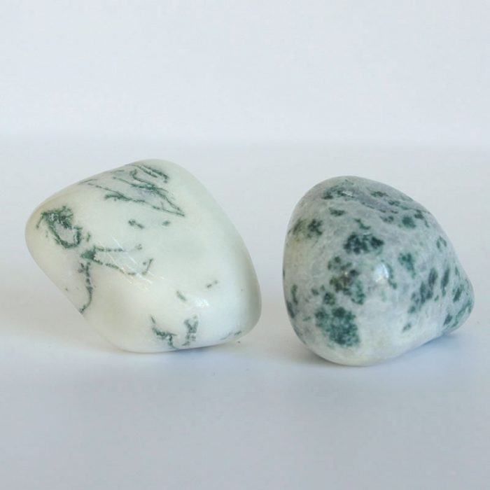 Pierres polies d'agate feuille, lot de 2